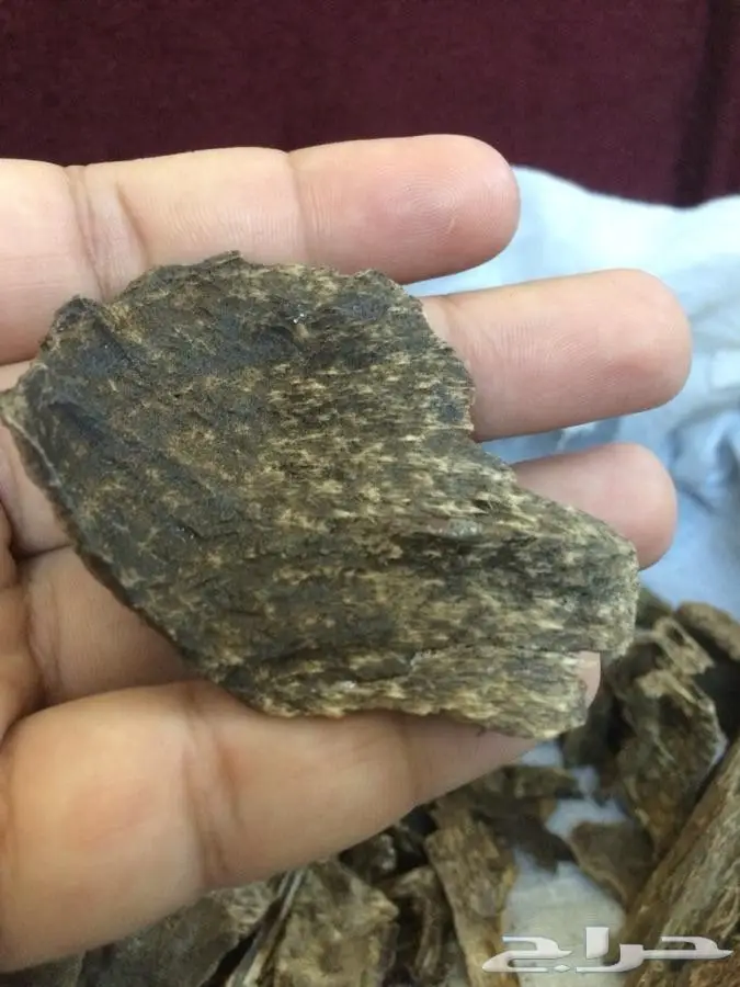 كمبودي الاجداد القديم والدهون الملكيه لدينا  5