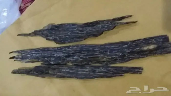 كمبودي الاجداد القديم والدهون الملكيه لدينا  3