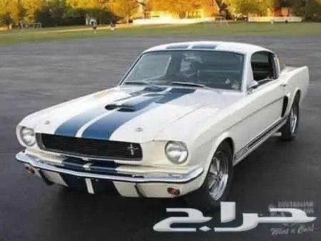 موستنج موديل 1969 نظيف 0