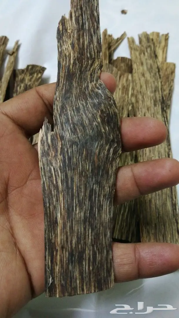 أجودأنواع الدهون الملكيه وعودالغابات الطبيعيه 3