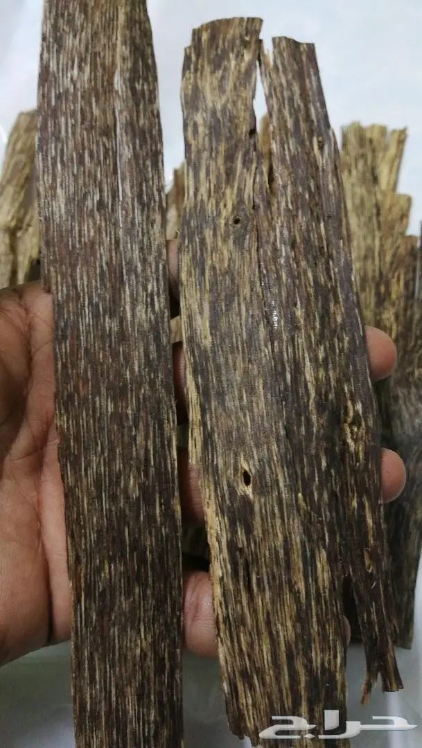 أجودأنواع الدهون الملكيه وعودالغابات الطبيعيه 4