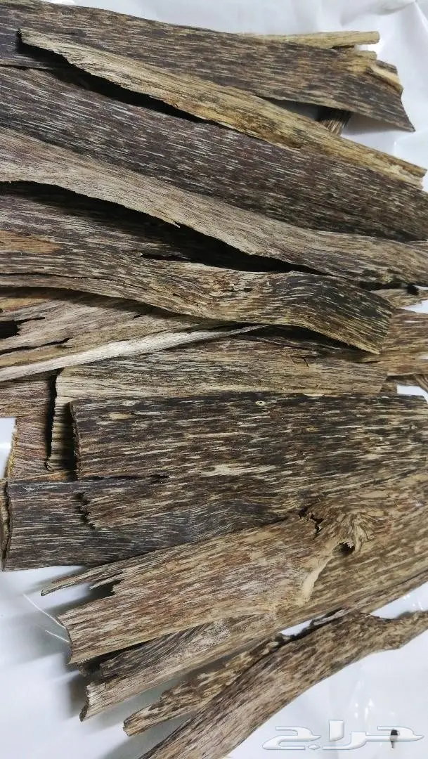 أجودأنواع الدهون الملكيه وعودالغابات الطبيعيه 5