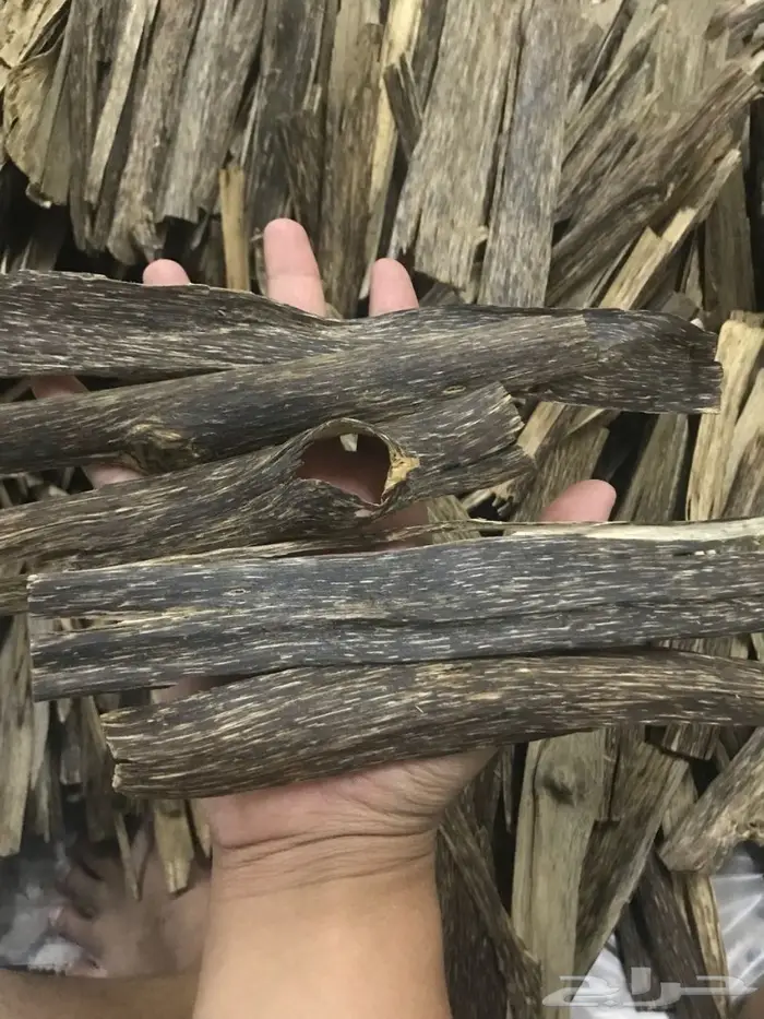 كاوياي الاجداد والادهان الملكيه ثبات الاصل 1