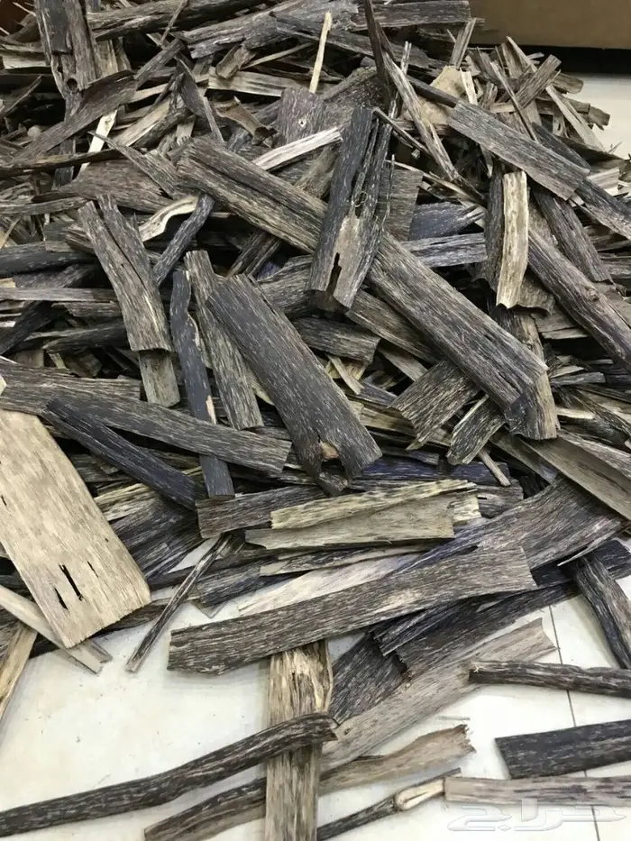 كاوياي الاجداد والادهان الملكيه ثبات الاصل 3