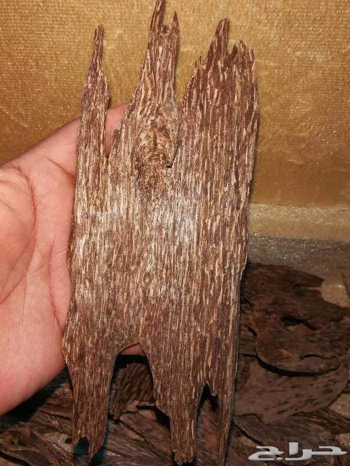 كاوياي الاجداد والادهان الملكيه ثبات الاصل 4