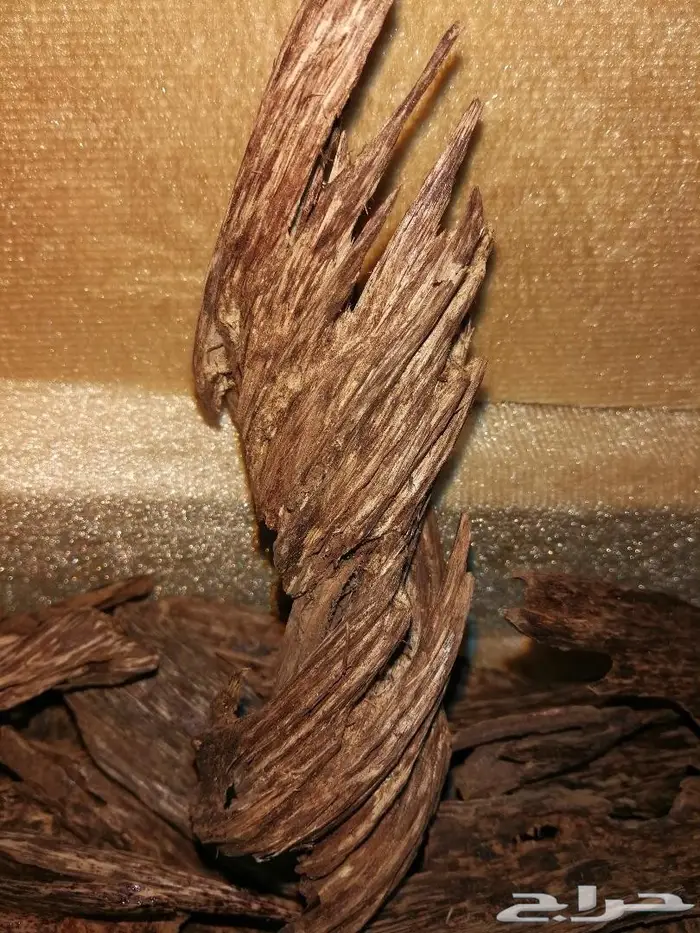 كاوياي الاجداد والادهان الملكيه ثبات الاصل 9