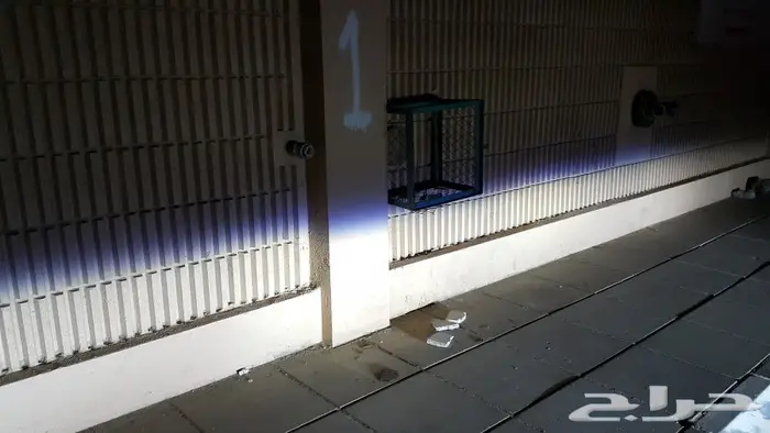 زنون شازرام لجمس 2015 عالي وواطي 12