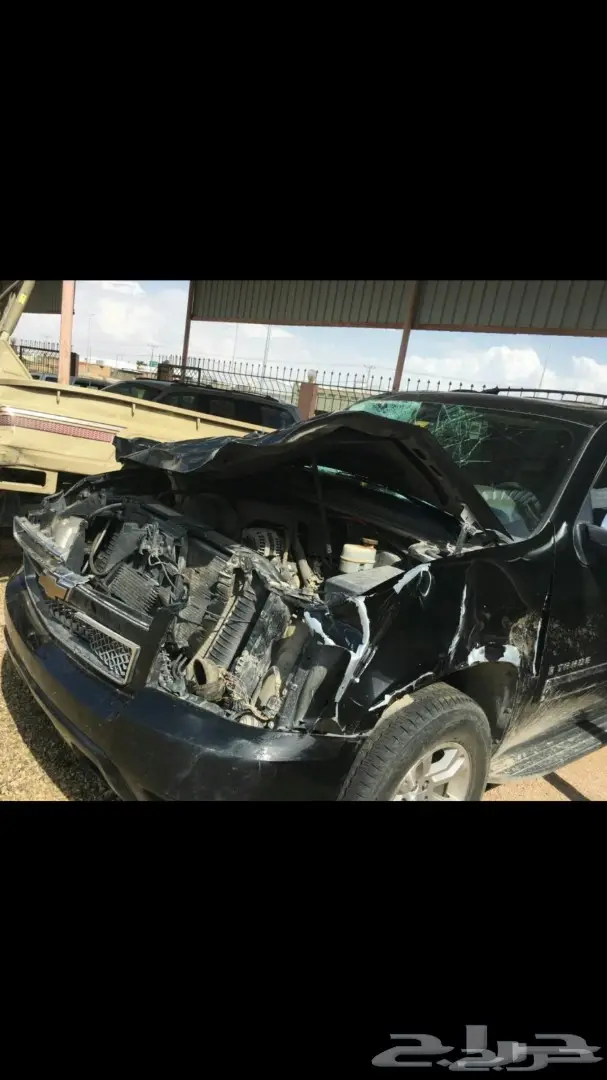 زنون شازرام يهتم بالقيادة ليلا 0