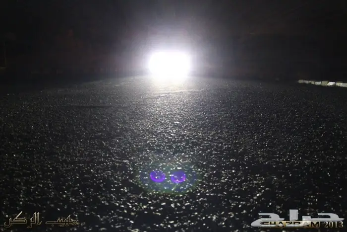 زنون شازرام على تورس 2013 7