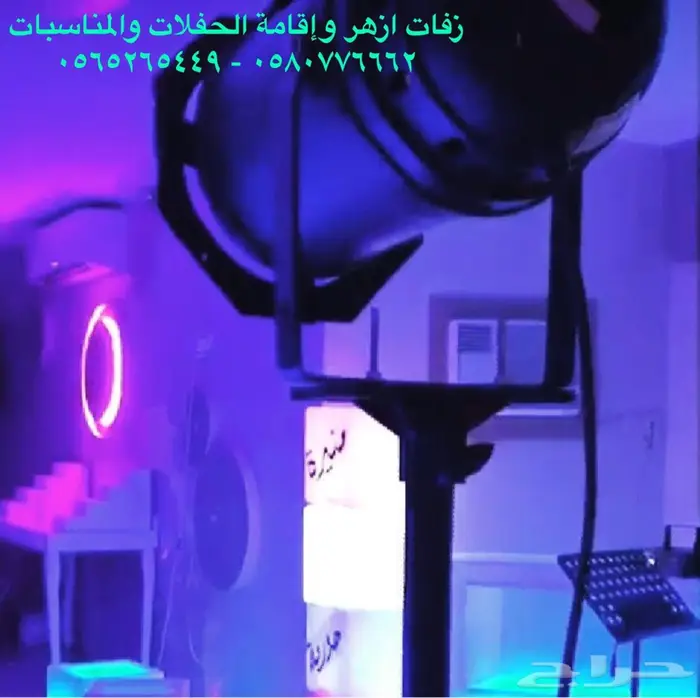 كشاف عروس للإيجار 0