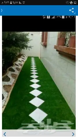 تنسيق حدائق وزراعة التيل الطبيعي والصناعي  (image 15)