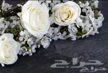 ورق جدران ثلاثي الأبعاد 3D MX توريد وتركيب (image 5)