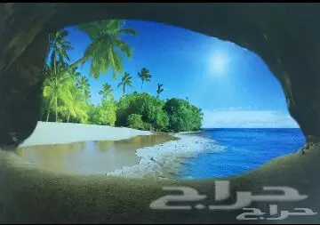 ورق جدران ثلاثي الأبعاد 3D MX توريد وتركيب (image 63)