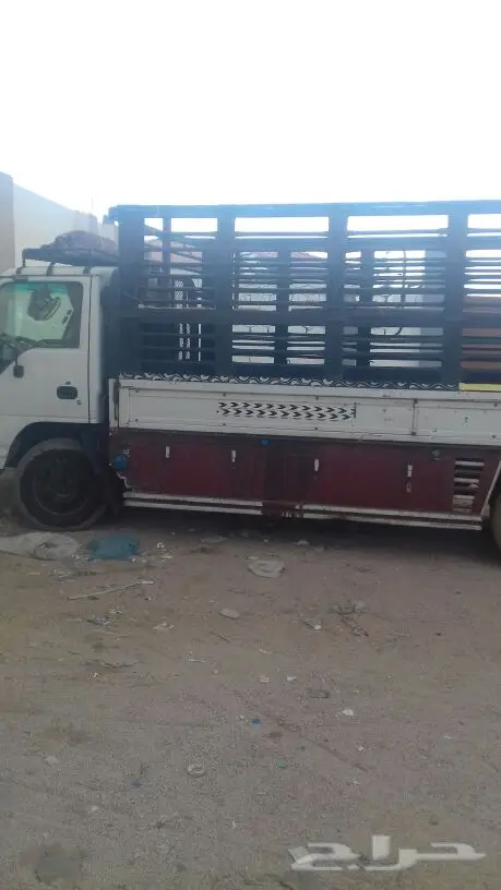 نقل غنم من الطايف الا جميع مدن المملكه