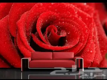 ديكورات أسقف جبسية ورق جدران ثلاثي الأبعاد 3D (image 156)