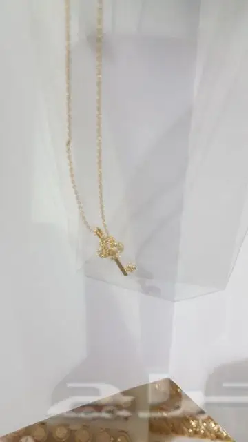 بديل الذهب مؤسسة كنوز البلد للتجارة (image 160)