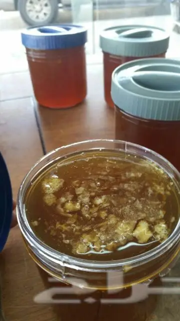 عسل سدر فاخر ومضمون ذمة ومخبريآ