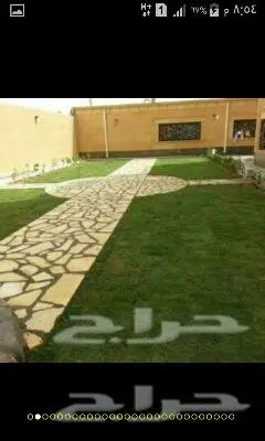 ثيل سي2000 وياباني لتنسيق الحدائق  (image 13)