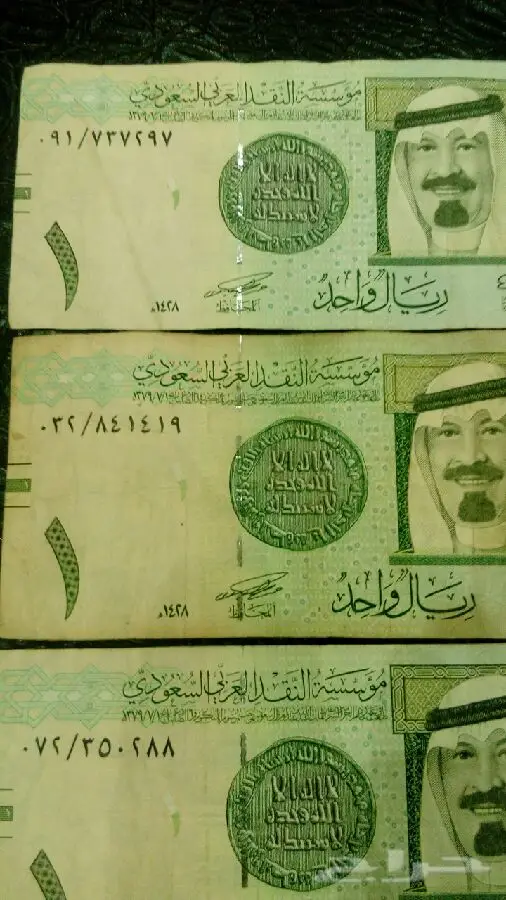 فلوس تقسيمات أوليه
