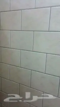 الكويت - الفرعون (image 2)