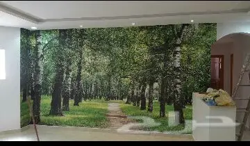 ورق جدران ثلاثي الأبعاد 3D جديد اي شكل مضمون (image 208)