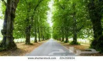 ورق جدران ثلاثي الأبعاد 3D جديد اي شكل مضمون (image 171)