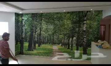 ورق جدران ثلاثي الأبعاد 3D جديد اي شكل مضمون (image 207)