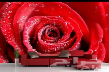 ورق جدران ثلاثي الأبعاد 3D جديد اي شكل مضمون (image 127)