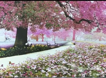 ورق جدران ثلاثي الأبعاد 3D جديد اي شكل مضمون (image 189)