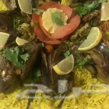 حمام فرنسي لاحم يذبح يوميا  (image 2)