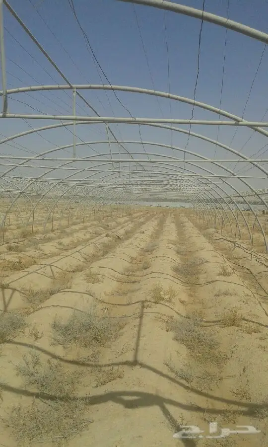 للبيع بيوت محميه زراعيه (image 6)