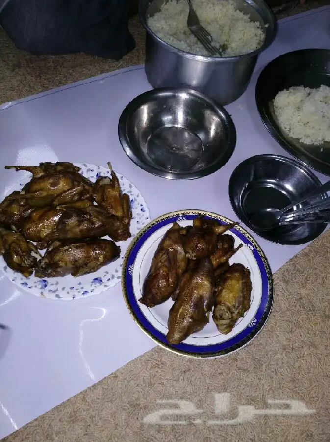 حمام فرنسي لاحم يذبح يوميا  (image 1)