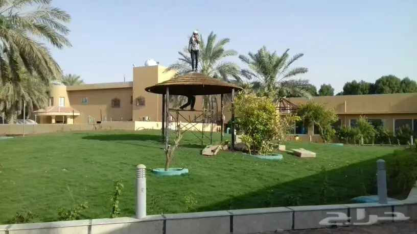 مظلات برجولات وسواتر (image 103)