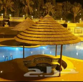 مظلات برجولات وسواتر (image 103)