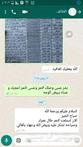 تمر رطب سكري - طعم الطبيعة الأصيل! (image 10)