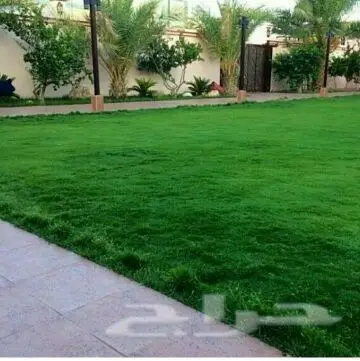 تصميم وتنسيق حدائق (image 16)