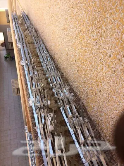 2 - طارد الحمام تركيب (image 2)