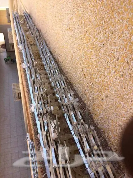 2 - طارد الحمام تركيب (image 3)
