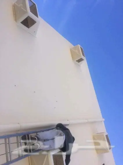 2 - طارد الحمام تركيب (image 6)