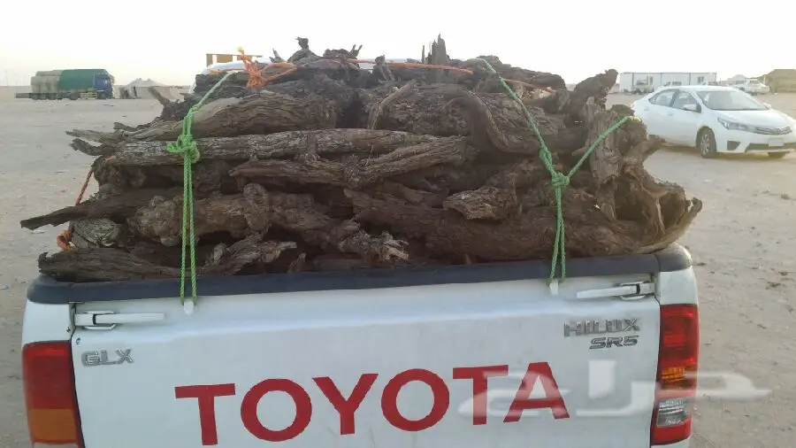 حطب أرطى  (image 3)