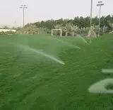 عشب صناعي ونجيله طبيعي وتنسيق حدائقوجميع ورود