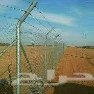 تبوك - ابوعصام لتوريدالنخل (image 7)