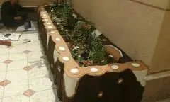 المهندس  ابوورده لتنسيق الحدائق (image 6)