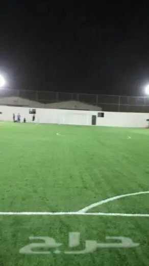 عشب صناعي ونجيله طبيعي وتنسيق حدائقوجميع ورود (image 21)