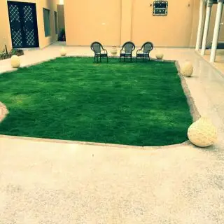 المهندس  ابوورده لتنسيق الحدائق (image 1)