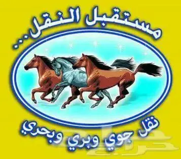 شركه نقل عفش  بجده  (image 2)