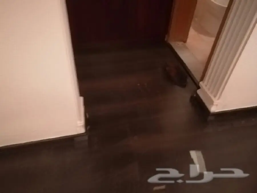 باركيه صيني فاخر - مواصفات ألمانية! 50 ريال فقط للمتر المربع (image 16)