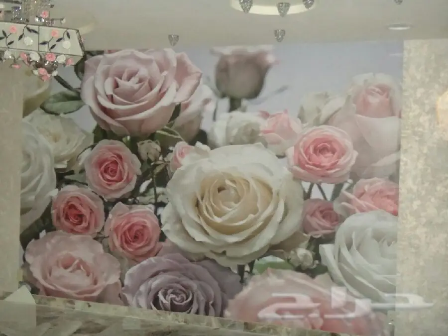 ترميم واصباغ ورق جدران سواتر ومضلات (image 14)