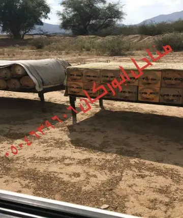 عسل سدراصلي عشرين الف اذا اتضح عليه تغذيه (image 2)