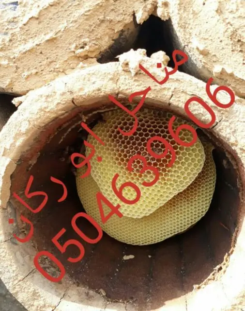 عسل سدراصلي عشرين الف اذا اتضح عليه تغذيه (image 8)